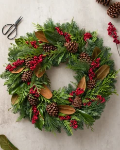 Fresh Southern Magnolia Evergreen Foliage