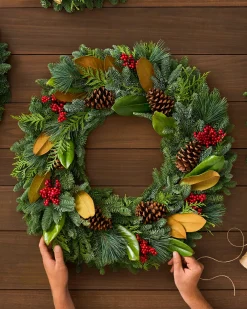 Fresh Southern Magnolia Evergreen Foliage