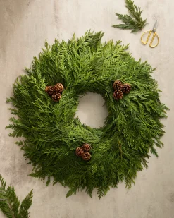 Fresh Wispy Cedar Foliage