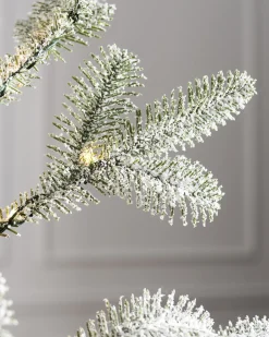 Frosted Alpine Balsam Fir® Tabletop Trees