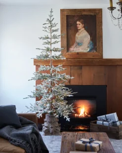 Frosted Alpine Balsam Fir Trees