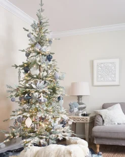 Frosted Alpine Balsam Fir Trees