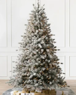 Frosted Sugar Pine Trees