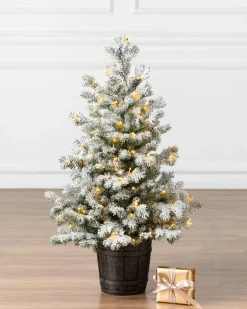 Frosted Yukon Spruce Artificial Potted Christmas Trees