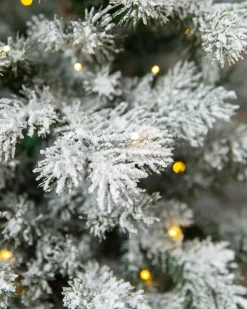 Frosted Yukon Spruce Artificial Potted Christmas Trees