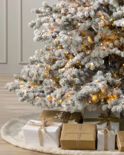 Frosted Yukon Spruce Trees