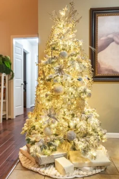 Frosted Yukon Spruce Trees