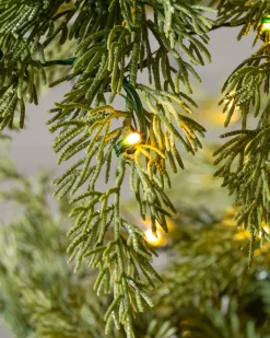 Grand Canyon Cedar® Trees