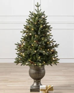 Greenwich Estates® Pine Trees