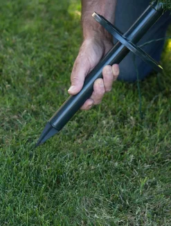 Greenwich Estates® Pine Trees