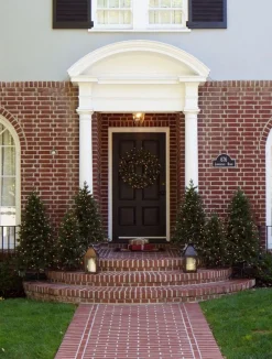 Greenwich Estates® Pine Trees