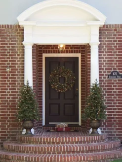 Greenwich Estates® Pine Trees