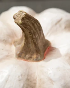 Lit Cut-Out Pumpkins