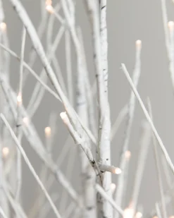 Lit Snowy Branch LED Tree Grove