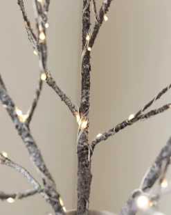 Lit Twig Branches