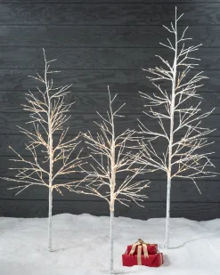 Lit Winter Birch LED Trees