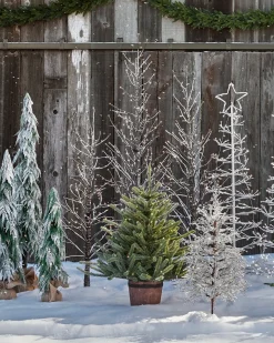 Lit Winter Birch LED Trees