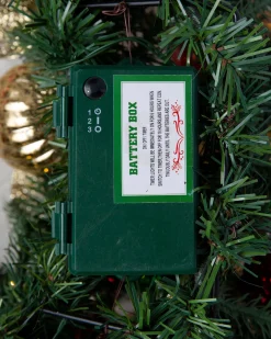 Merry & Bright Foliage