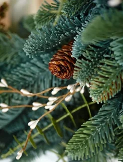 Mountain Meadow Foliage