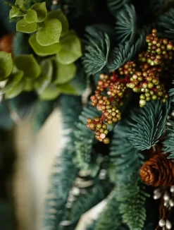 Mountain Meadow Foliage