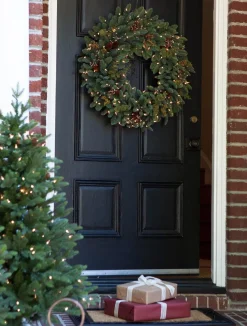 Mountain Meadow Foliage