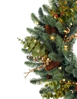 Mountain Meadow Foliage