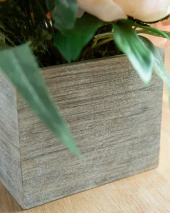 Napa Romance Foliage