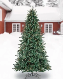 Oakville Outdoor® Trees