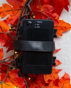 Outdoor Autumn Maple Foliage