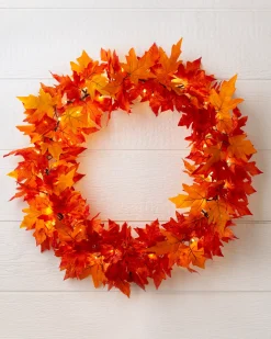 Outdoor Autumn Maple Foliage