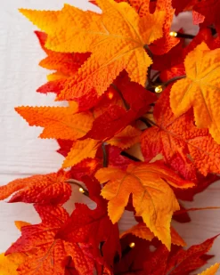 Outdoor Autumn Maple Foliage