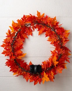 Outdoor Autumn Maple Foliage