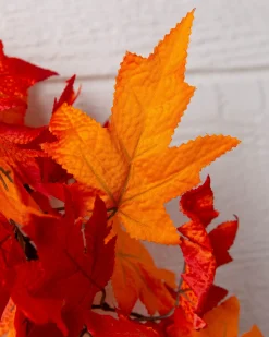 Outdoor Autumn Maple Foliage