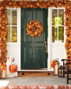 Outdoor Autumn Traditions Foliage