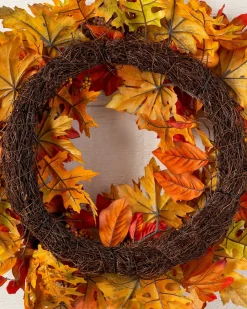 Outdoor Autumn Traditions Foliage