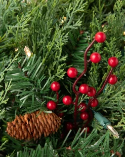 Outdoor Beacon Hill Cypress Foliage
