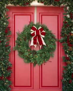 Outdoor Beacon Hill Cypress Foliage