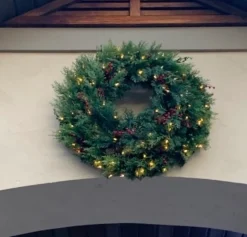 Outdoor Beacon Hill Cypress Foliage