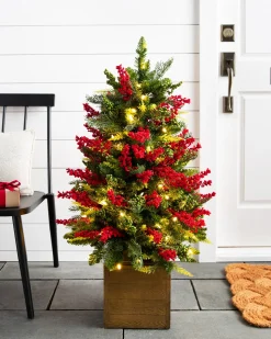 Outdoor Berry Burst Foliage