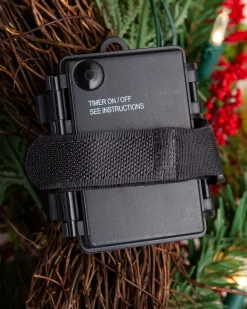 Outdoor Berry Burst Foliage