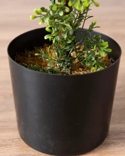 Outdoor Boxwood Artificial Christmas Topiaries