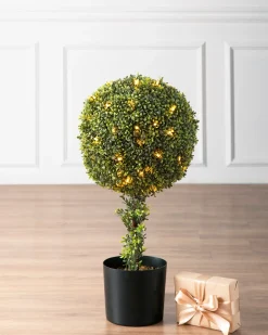 Outdoor Boxwood Artificial Christmas Topiaries