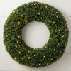 Outdoor Boxwood Foliage