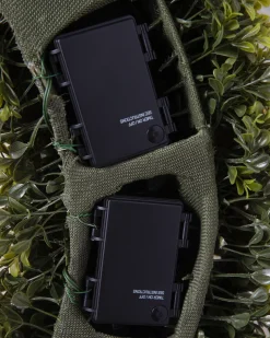 Outdoor Boxwood Foliage