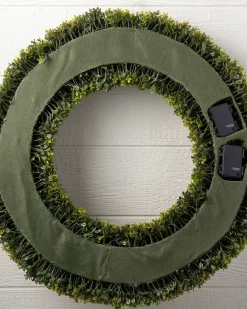 Outdoor Boxwood Foliage