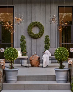 Outdoor Boxwood Foliage