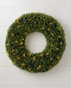 Outdoor Boxwood Foliage