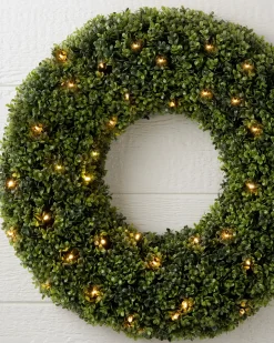 Outdoor Boxwood Foliage