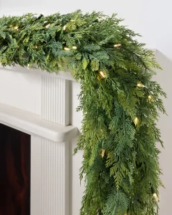 Outdoor Cedar Woods Foliage