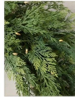 Outdoor Cedar Woods Foliage